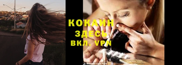 кокс Белокуриха