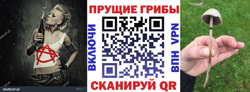 Псилоцибиновые грибы ЛСД  Кольчугино 